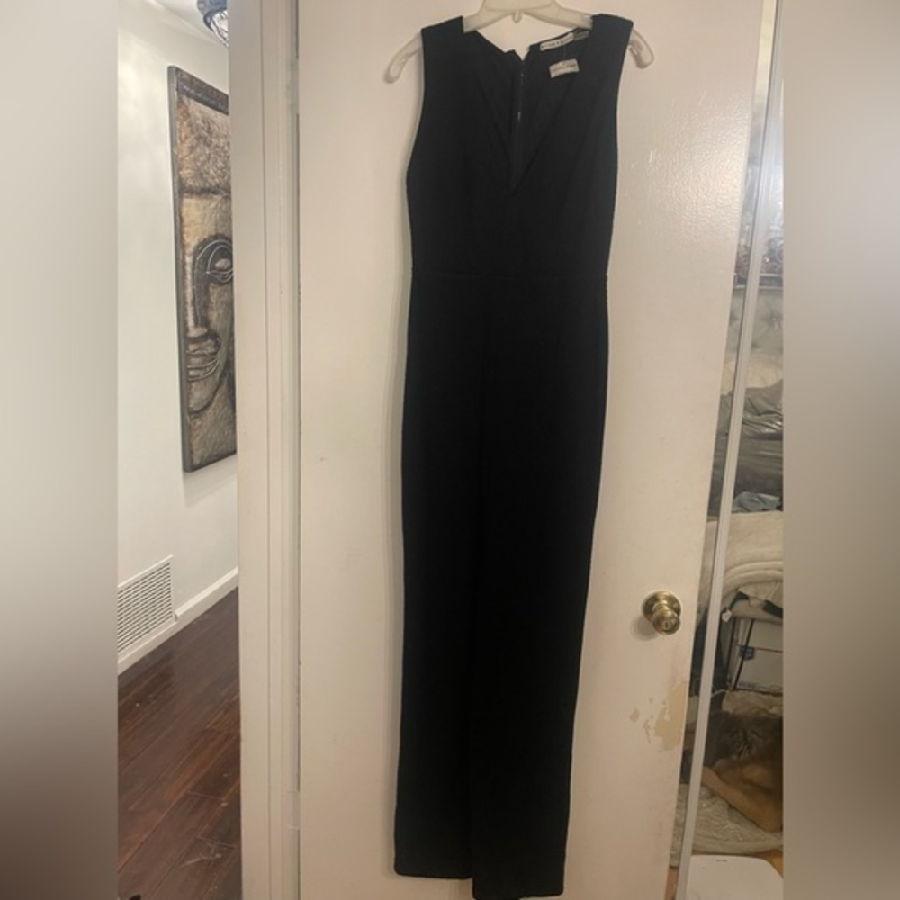 Alice and Olivia stunning maxi‎ dress